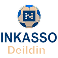 冰岛甲 Logo